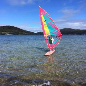 windsurfer